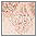 1x lichtpink + 1x zwart&nbsp;Modellerende body, set van 2, NUANCE