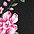 zwart/roze&nbsp;Melrose longline-shirt
