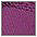 paars + wit&nbsp;Minimizer-BH, set van 2, PETITE FLEUR