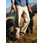 Chino-broek, Eddie Bauer, detail #1