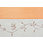 Gordijn, Wohntextilien live, 'Sorel', per stuk, detail #2