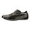 Preyton, Puma, detail #1